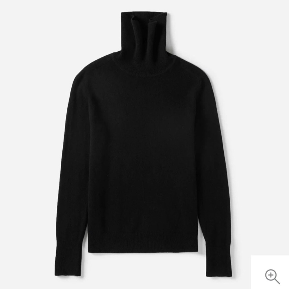 Everlane Black 100% Cashmere Turtleneck